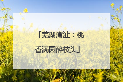 芜湖湾沚：桃香满园醉枝头