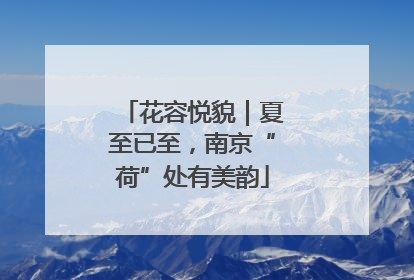 花容悦貌｜夏至已至，南京“荷”处有美韵