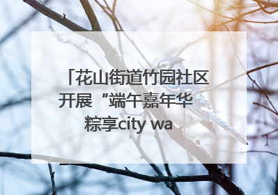 花山街道竹园社区开展“端午嘉年华 粽享city walk”主题活动