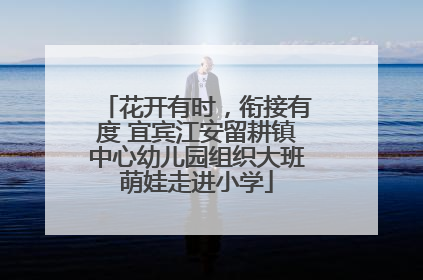 花开有时，衔接有度 宜宾江安留耕镇中心幼儿园组织大班萌娃走进小学