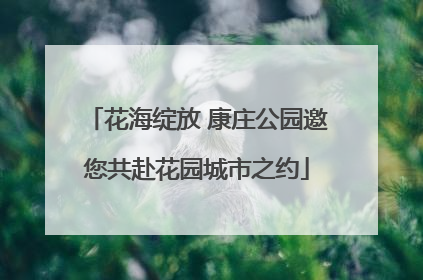 花海绽放 康庄公园邀您共赴花园城市之约