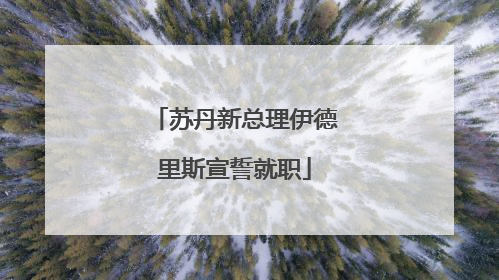 苏丹新总理伊德里斯宣誓就职