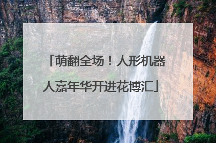 萌翻全场！人形机器人嘉年华开进花博汇