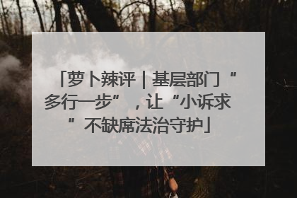 萝卜辣评｜基层部门“多行一步”，让“小诉求”不缺席法治守护