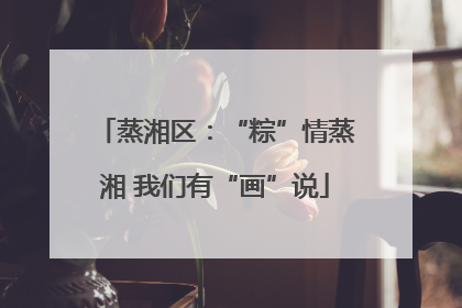 蒸湘区：“粽”情蒸湘 我们有“画”说