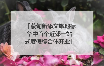 蔡甸新添文旅地标 华中首个近郊一站式度假综合体开业
