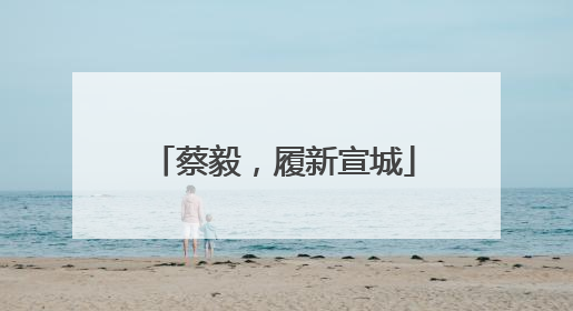 蔡毅，履新宣城