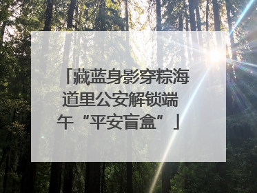 藏蓝身影穿粽海 道里公安解锁端午“平安盲盒”