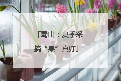 蜀山：夏季采摘“果”真好