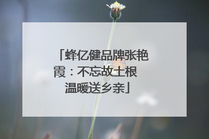 蜂亿健品牌张艳霞：不忘故土根 温暖送乡亲