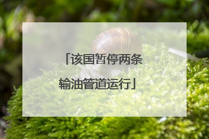 该国暂停两条输油管道运行