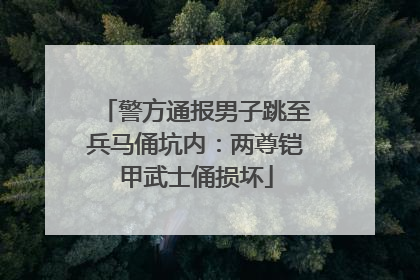 警方通报男子跳至兵马俑坑内：两尊铠甲武士俑损坏