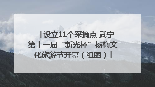 设立11个采摘点 武宁第十一届“新光杯”杨梅文化旅游节开幕（组图）