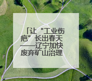 让“工业伤疤”长出春天——辽宁加快废弃矿山治理观察