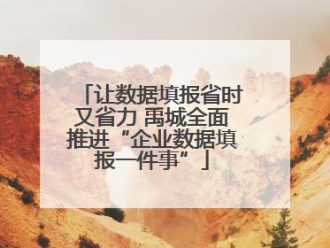让数据填报省时又省力 禹城全面推进“企业数据填报一件事”