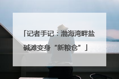 记者手记：渤海湾畔盐碱滩变身“新粮仓”