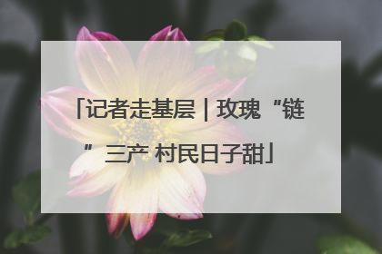 记者走基层｜玫瑰“链”三产 村民日子甜