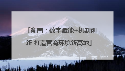 衡南：数字赋能+机制创新 打造营商环境新高地
