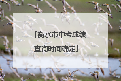 衡水市中考成绩查询时间确定