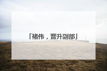 褚伟，晋升副部