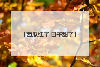 西瓜红了 日子甜了