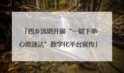 西乡流塘开展“一键下单·心愿速达”数字化平台宣传