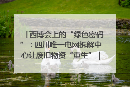西博会上的“绿色密码”：四川唯一电网拆解中心让废旧物资“重生”｜西博寻“新”记