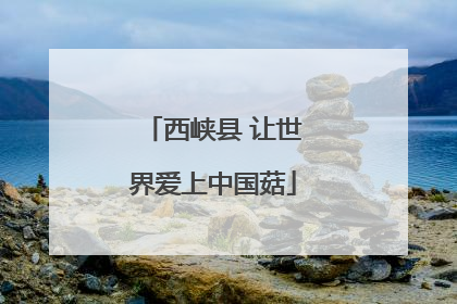 西峡县 让世界爱上中国菇