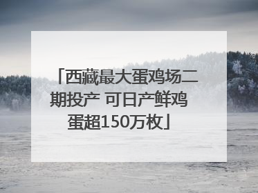 西藏最大蛋鸡场二期投产 可日产鲜鸡蛋超150万枚