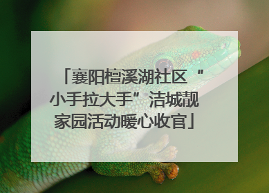 襄阳檀溪湖社区“小手拉大手”洁城靓家园活动暖心收官