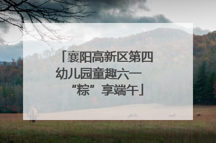 襄阳高新区第四幼儿园童趣六一 “粽”享端午