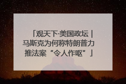 观天下·美国政坛｜马斯克为何称特朗普力推法案“令人作呕”