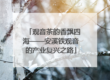 观音茶韵香飘四海——安溪铁观音的产业复兴之路