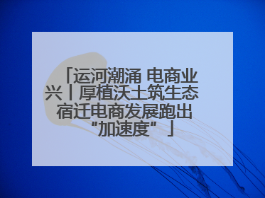 运河潮涌 电商业兴丨厚植沃土筑生态 宿迁电商发展跑出“加速度”