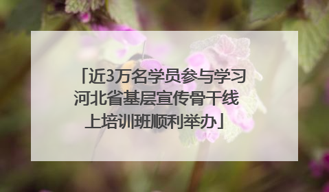 近3万名学员参与学习 河北省基层宣传骨干线上培训班顺利举办