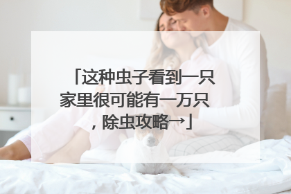 这种虫子看到一只家里很可能有一万只，除虫攻略→