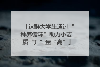 这群大学生通过“种养循环”助力小麦质“升”量“高”