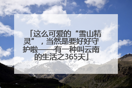 这么可爱的“雪山精灵”，当然是要好好守护啦——有一种叫云南的生活之365天