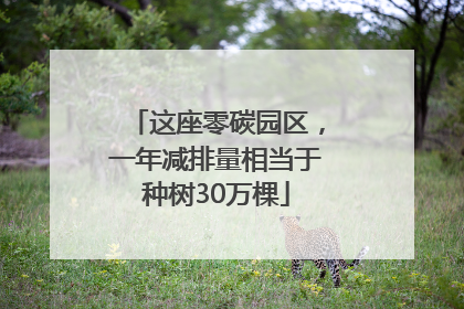 这座零碳园区，一年减排量相当于种树30万棵