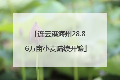 连云港海州28.86万亩小麦陆续开镰