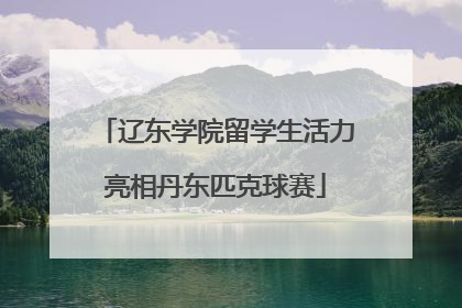 辽东学院留学生活力亮相丹东匹克球赛