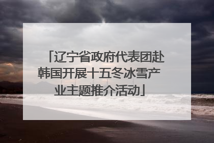 辽宁省政府代表团赴韩国开展十五冬冰雪产业主题推介活动