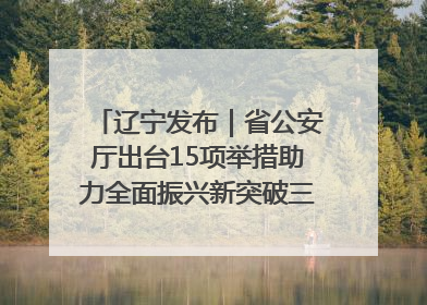 辽宁发布｜省公安厅出台15项举措助力全面振兴新突破三年行动决胜之战
