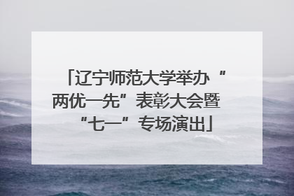 辽宁师范大学举办“两优一先”表彰大会暨“七一”专场演出
