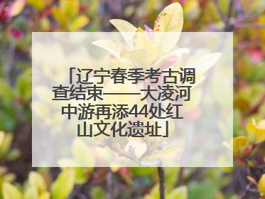 辽宁春季考古调查结束——大凌河中游再添44处红山文化遗址