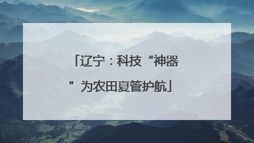 辽宁：科技“神器”为农田夏管护航
