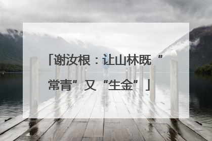 谢汝根：让山林既“常青”又“生金”