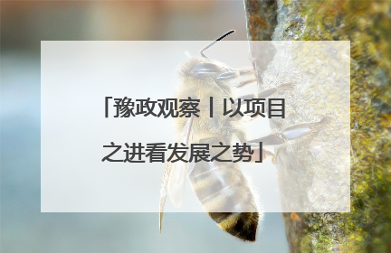 豫政观察丨以项目之进看发展之势