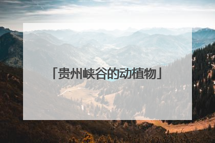 贵州峡谷的动植物