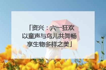 资兴：六一狂欢 以童声与鸟儿共舞畅享生物多样之美